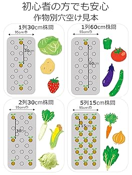 Amazon.co.jp: 岩谷マテリアル 新フリーホールシルバーマルチ